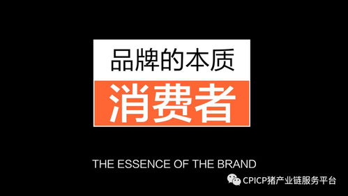 肖一刀 從無到有，打造豬肉品牌的創新之路