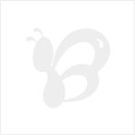 彩繪達(dá)人DIY數(shù)字油畫 江南水鄉(xiāng)系列5000款新品代理，廠家直供代發(fā)貨全攻略